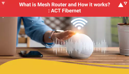 What is mesh router